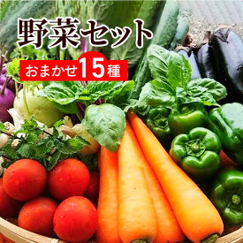 送料無料 野菜セット 15品セット おまかせ野菜セット 野菜詰め合わせ お試し野菜セット 西日本野菜セット フードロス 岡山 複袋 福袋 送料込 も ったいない 人気 安い 野菜宅配 おすすめ プレゼント ギフト 実用的 父の日 ギフト 福袋 お正月