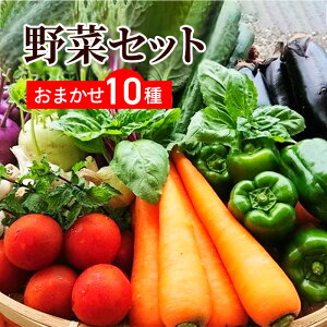  ؃Zbg 10iZbg ܂؃Zbg ؋lߍ킹 ؃Zbg {؃Zbg t[hX R     Ȃ lC  ؑz  v