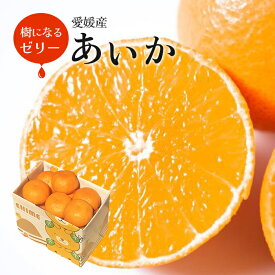 お歳暮 愛媛産 あいか 1.5kg 〇等級 2L-L(6-8玉入り) JAえひめ中央 送料無料 紅まどんな同品種 家庭用 内祝い お供え ギフト プレゼント クリスマス 高糖度 みかん 濃厚 福袋 お正月