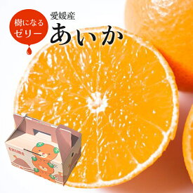 お歳暮 愛媛産 あいか 2kg 〇等級 サイズおまかせ(7-14玉入り) JAえひめ中央 送料無料 紅まどんな同品種 家庭用 内祝い お供え ギフト プレゼント クリスマス 高糖度 みかん 濃厚 福袋 お正月