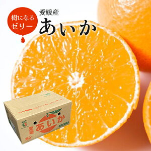 Ε QY  5kg Z 2L-L(19-25ʓ) JAЂߒ  g܂ǂȓi ƒp j  Mtg v[g NX}X x ݂ Z  