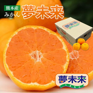  F{Y  ݂  2.5L Ε j  Mtg v[g NX}X x ݂ Z