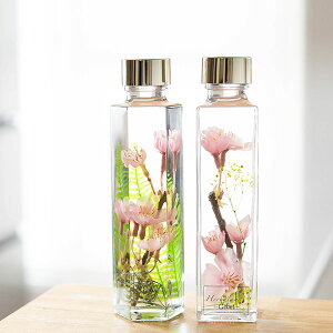 n[oE A[eBtBVt[̍yGebetz(CeA CeAG u  ̃A[eBVt[){ nhCh k G 蕨 Mtg  l킢