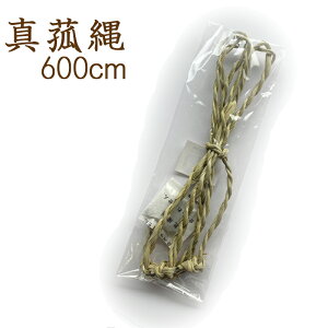 GY ~pi ~ ~ V~ ^ԓ 600cm 6000~ ^  d ~I I   }V  S