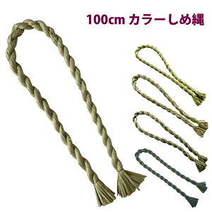 GY ߓ ޗ [X y J[ 100cm S{[ nhCh Ntg AW   nEB NX}X [X