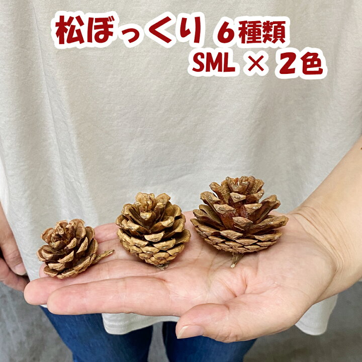楽天市場 10日限定5 オフクーポン配布中 水引 材料 松ぼっくり パーツ 素材 ハンドメイド アレンジ 手作り 正月飾り しめ飾り しめ縄 正月飾り しめ縄 お飾り屋さん