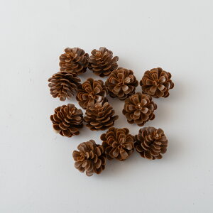 GY  ޗ vڂ ڂ v  i` p[c f nhCh AW   ߏ ߓ