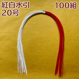 GY  ޗ 100g gi20j p[c f nhCh AW   ߏ ߓ