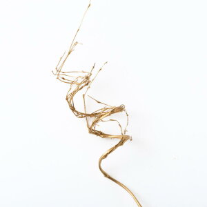 GY  ޗ | |   点| 点p[c f nhCh AW   ߏ ߓ