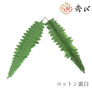 GY  ޗ 10  RbgEWij p[c f nhCh AW  ߏ ߓ