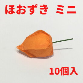 楽天市場 お供え 花 ほおずきの通販 楽天市場 お供え 花 ほおずきの通販