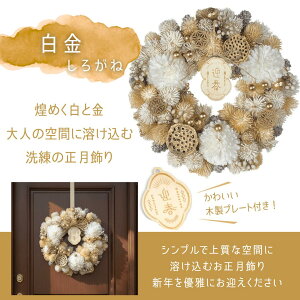  [X hCt[  MTCY Iׂ5   _ CeA ߓ [X  ߓꃊ[X AW  p }V  hA ߏ