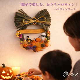 秀〆 季節のリース ハロウィン クリスマス 母の日 初節句 父の日 お祝い リース 送料無料 ギフト 花 おしゃれ モダンしめ縄リース 選べる5種類 ドライフラワー モダンしめ縄 水引 自宅用 マンション 室内 ドア 玄関飾り