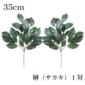 GY    35cm STCY  TJL   _I _Ip  ʔ ̔ Zbg { ͂Ȃ 