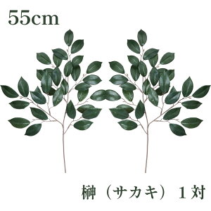 y55ItN[|zGY    55cm  TJL   _I _Ip  ʔ ̔ Zbg { ͂Ȃ 