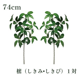GY    74cm   VL~ VLr   _I _Ip  ʔ ̔ Zbg { ͂Ȃ 