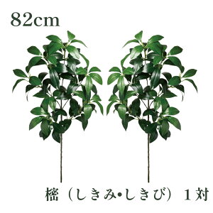 GY    82cm LTCY   VL~ VLr   _I _Ip  ʔ ̔ Zbg { ͂Ȃ 