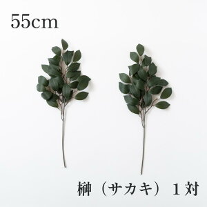 GY    55cm  TJL   _I _Ip  ʔ ̔ Zbg { ͂Ȃ 