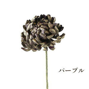 GY ޗ  A[eBtBVt[ uAgS[h} 55cm   p[c f nhCh AW  ߏ ߓ