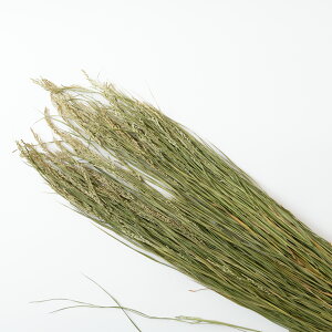 GY  ޗ m  Y 1kg 5kg 10kg 20kg e p m   m  m  p[c f nhCh AW  ߏ ߓ