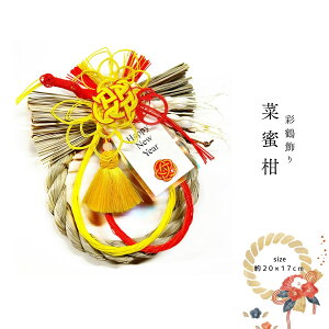 y ʒߏ ؖ z  _ ߓ  [X ֏ CeA