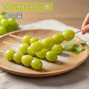 Ⓚ ^tԂǂ 100{/1 Ղ̂ h  XC[c O[V[hX  R[eBO