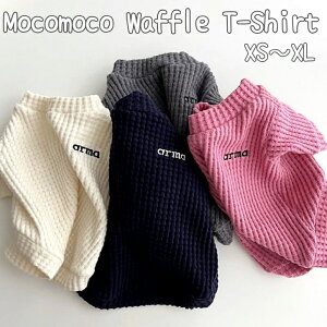    H ~   btn hbOEFA  ybg  gCv[h ` T-Vc H ~ t