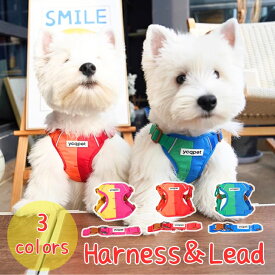 犬 リード 可愛い リード ハーネス 散歩 カラフル 2点セット お散歩ハーネス ビビットカラー リード ハーネス