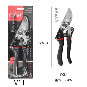 oT~ RpNg s؂ꖡ Kтɂ dNH  K[fjO TNTN؂ Kтɂ tbfR[eBO  Ă΂ |p͂ }΂ 