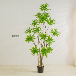 EPcW  ϗtA lH G} L R sv Aȗt tFCNO[ CeAO[ 킢 rO  lHϗtA L lHA   R