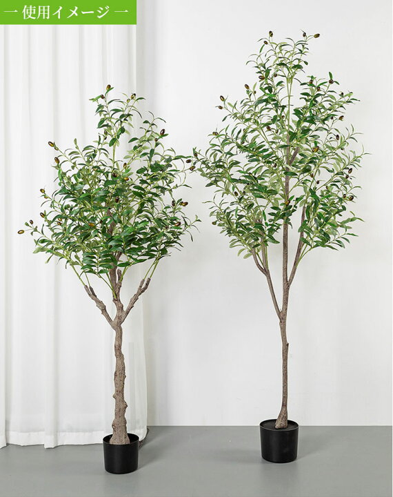 楽天市場】オリーブの木 観葉植物 80/120/150/180/210cm 人工 光触媒 