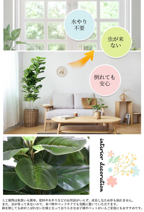 楽天市場】観葉植物 ウンベラータ 110/120/160/170/200cm 人工 光触媒 