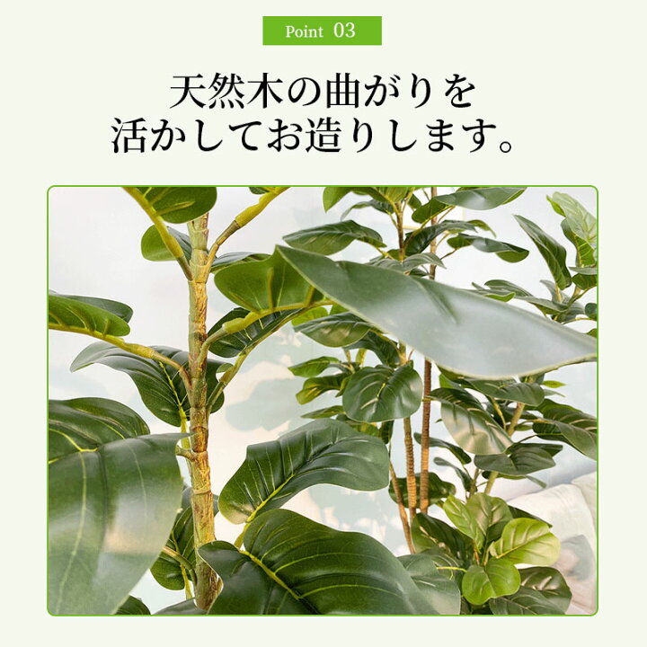 楽天市場】観葉植物 ウンベラータ 110/120/160/170/200cm 人工 光触媒 