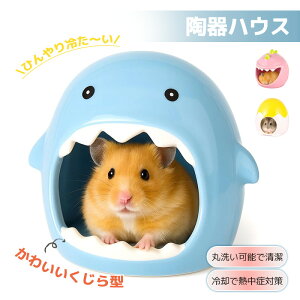 nX^[ nEX nX^[  B S[f nX^[ LN}  CR X ybg  nEX xbh   Q  NbV  CG[ zCg X^[ 