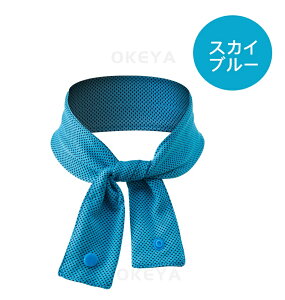 2025Nf p^I ACXXJ[t T}[XJ[t pObY  zŗ⊴ 20Ԏ 炳甧G 1 2 N[lbN^I ⊴f z|}[ 