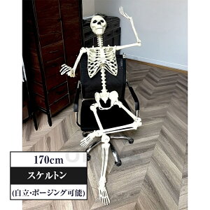 _nEBZ[ 15OFF^nEB [  XPg 4TCY 40cm 70cm 90cm 170cm g  A  X܃fBXvC ~ z[ p[eB[