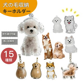 ペット 犬型収納ボックス 猫と犬の毛収納用 カプセルトイ ペンダント キーチェーン 透明ボトル ペットひげ・抜け毛収納 ペットメモリアルギフト カプセル型毛髪収納容器 ペット 遺毛入れ 思い出保存 メモリアルケース