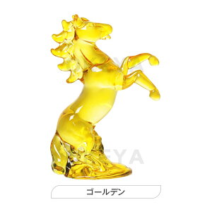 2026Nx n u NX^n if 6J[  ܍ Vp X[L[ AB S[f  ȉے Ȑے ItBX ƒp CeA fXN