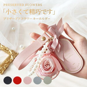 vU[uht[ L[z_[ ͂Ȃ  FB 蕨 ޏ  j lC v[g a LO ̐l ސEj zj w  ̓ Mtg