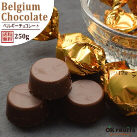 チョコ スイーツ 送料無料 ベルギーチョコレート 250g大袋 ピュワレ 植物油脂を一切使わない本格派チョコレート【ベルギーチョコレート250g】
