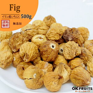  hCt[c Y 500g  sgp hC C`WN R̎| CYyCYhC500gzyɏextraO[hz