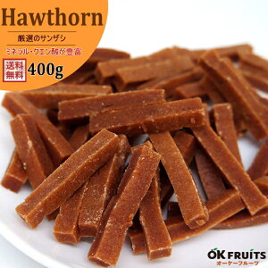  ~lENG_LxȃTUVI@IꂽōTUViRqj400gyTUV400gz