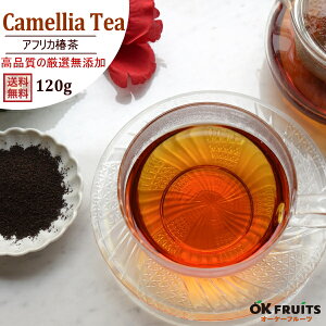  ō̃AtJ΂ieB[obO13g×40Oj120g YNI yAtJ΂EeB[obO120gz