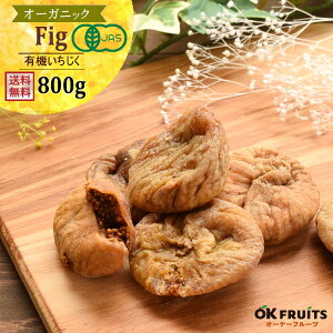 hC  I[KjbN 800g Y sgp  Y i` L@C`WN hCt[c ʕ ԉ  p ޗ  VN I[P[t[c