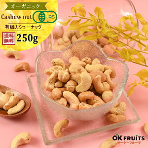 L@ JV[ibc 250g  [Xg  SݓXőlCIĨJV[ibc I[KjbN[XgJV[ibc kVñP[LŎgĂ܂yL@[XgJV