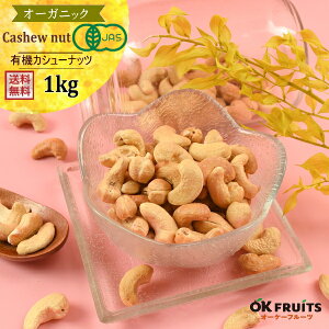 L@ JV[ibc 1kg fĂ   SݓXőlCIĨJV[ibc I[KjbN[XgJV[ibc kVñP[LŎgĂ܂yL@[XgJV