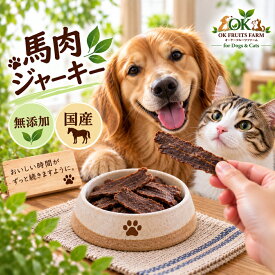 犬 猫 おやつ 馬肉 ジャーキー 30g 無添加 国産 馬肉100% 高たんぱく 低脂肪 グルテンフリー デンタルケア 噛む オヤツ シニア 大型犬 中型犬 小型犬 ドッグフード ペット ガム 硬い
