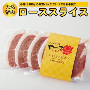 VR[X100g XCX ^ Ⓚ [X WrG ڂ ē BBQ  { 1lO