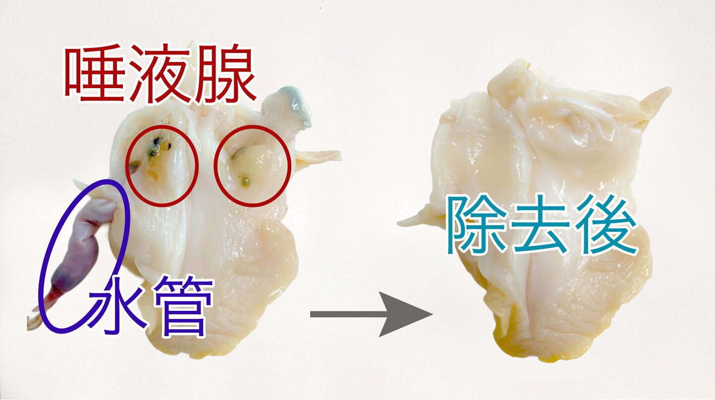 つぶ 貝 刺身