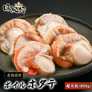 {Cz^e kCY Iz[cNIs uԗⓀ {C CNO   Mtg v[g ق 